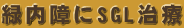 �Γ����SGL����